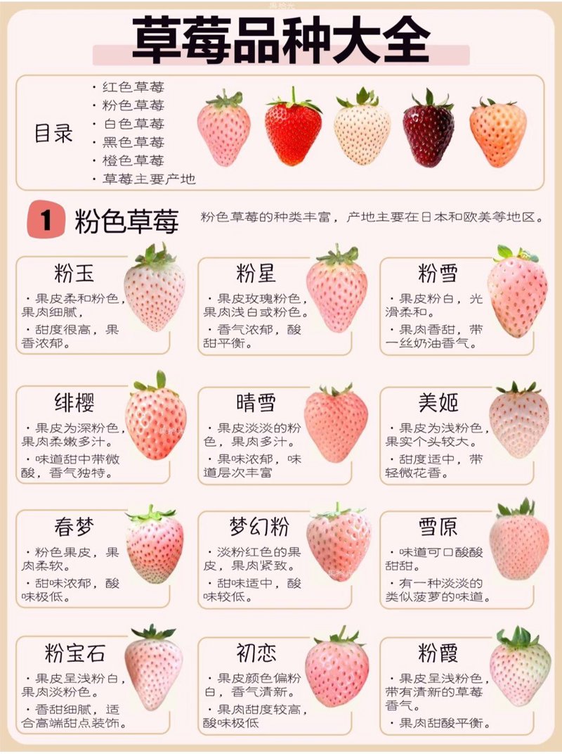 草莓品种
