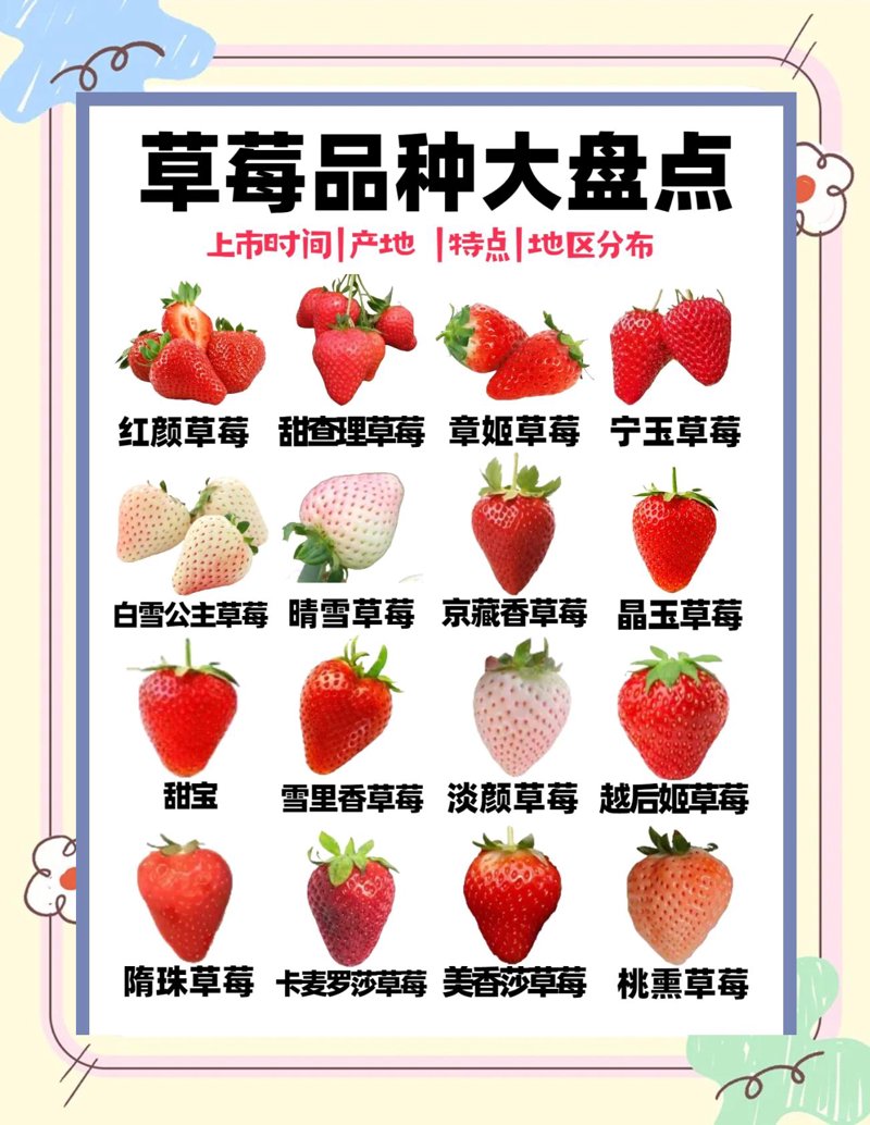 在当今社会，服务行业的多样性让人眼花缭乱，从餐饮到医疗、从教育到旅游，每一种服务都承载着不同的使命与责任。今天，我们就一起探索一下这些领域的具体服务类型，看看它们究竟如何影响我们的日常生活。