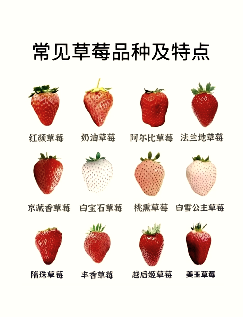 在众多行业中，服务行业因其独特性而备受关注。今天我们就来探索一下哪些领域最适合投身于服务业。