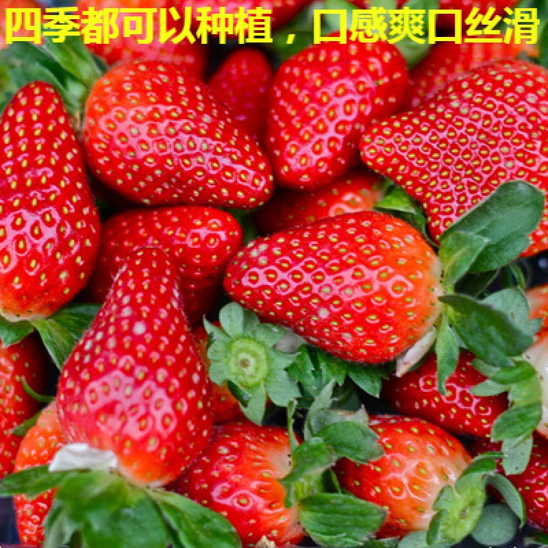 智能维修